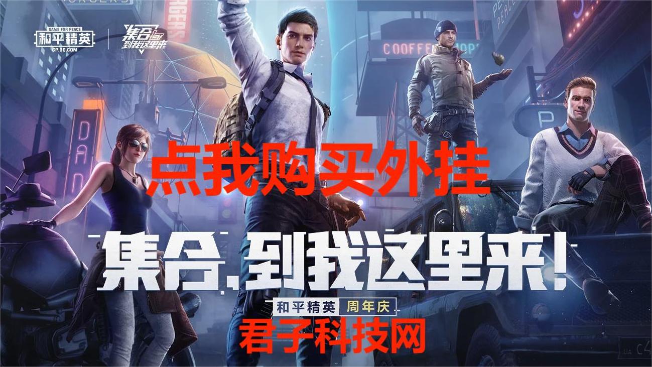 和平精英辅助【九世】